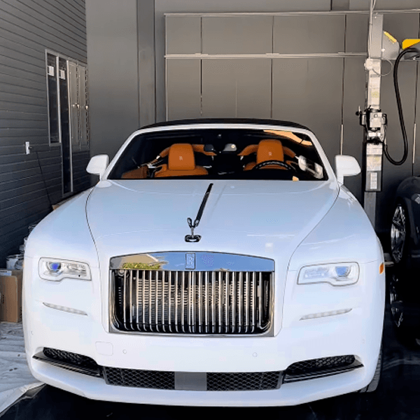 Professional Service